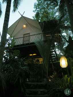 Ubud Tropical, THB 352.71