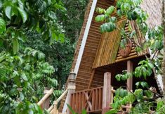 Luar Bangunan 5 Pi Creek Hideaway Resort