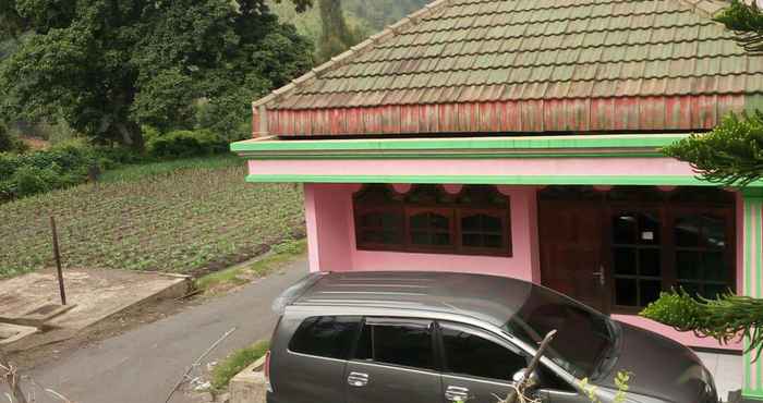 Exterior Homestay Elga