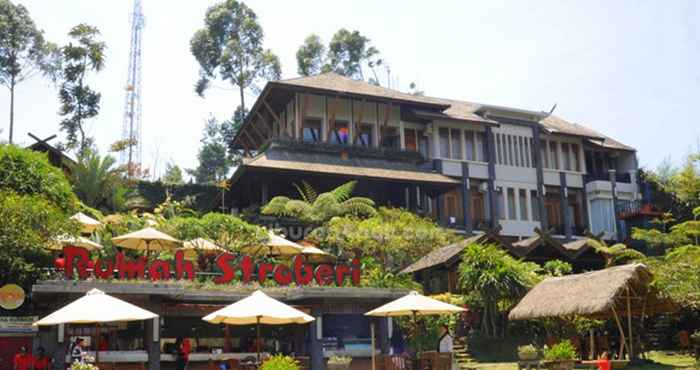 Lobby Rumah Stroberi Organic Farm and Lodge