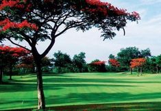 ห้องออกกำลังกาย 4 Silverwoods Resort 