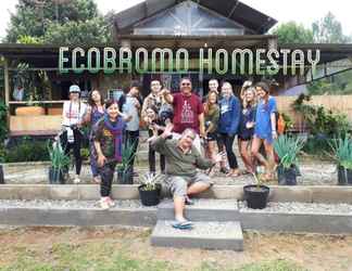 Luar Bangunan 2 Ecobromo Homestay