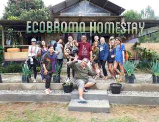 Exterior 2 Ecobromo Homestay