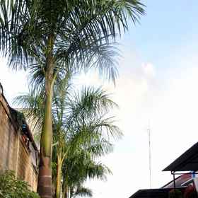 Villa Bintang Lima 2, Hotel Manokwari Port