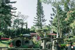 The Pinewood Lodge & Organic Farm, Rp 459.000