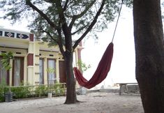 Exterior 2 Charlie Homestay