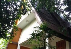 Exterior 6 Tok Little Hut