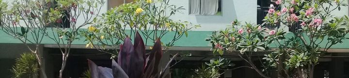 Kolam Renang 4 Green Park Apartment