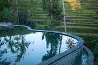 Swimming Pool Be Bali Stay