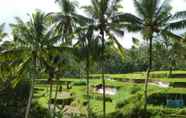 วิวและสถานที่ท่องเที่ยวใกล้เคียง 3 Hauma, 2 Bedroom Villa, Ubud