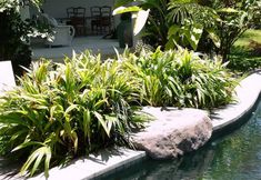 Lobby 2 Hauma, 2 Bedroom Villa, Ubud