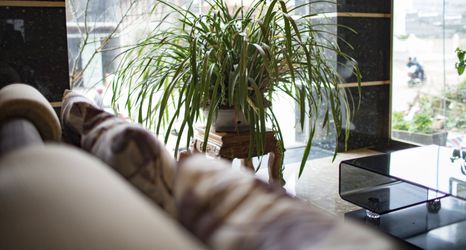 ล็อบบี้ 2 Golden Town Sapa