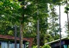 ภายนอกอาคาร 3 Phu Pha View Doi