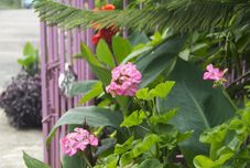 Common Space Nabalu Kundasang