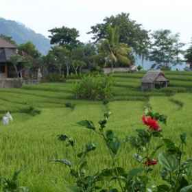 The Bukit Artha1 , 飯店Ayu Cafe