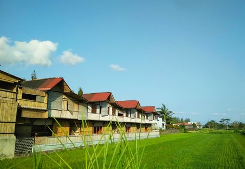 Lobi Paddy D Sawah