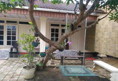 Bên ngoài 4 Inn Family Homestay