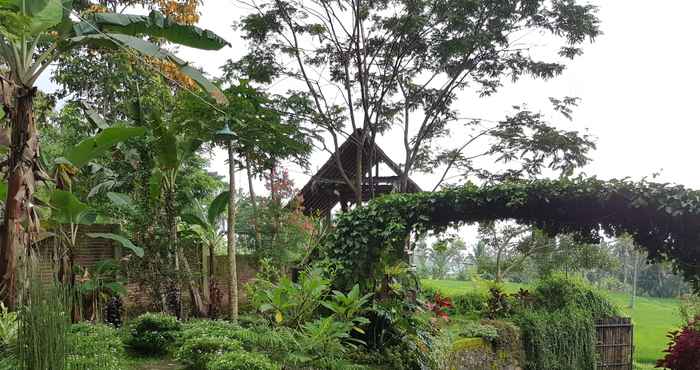 Common Space Back to Nature at Stay Inn Ijen