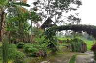 Ruang Umum Back to Nature at Stay Inn Ijen