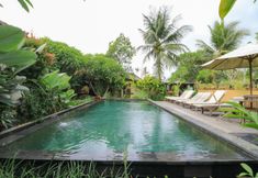 Swimming Pool 2 Bali Sunshine Ubud