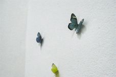 Exterior Lotto Hotel