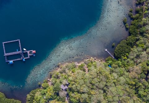 Nearby View and Attractions Menjangan Ecolodge