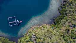 Menjangan Ecolodge, USD 72.77