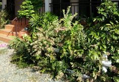 Exterior 5 Fundee Resort Chanthaburi