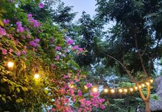 Khu vực công cộng 3 Ninh Binh Bamboo Farmstay