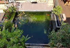 Khu vực công cộng 3 Six Six Garden - Rose Koi Homestay Dalat