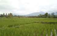 Tempat Tarikan Berdekatan 5 Comfy Room at Ijen Farmer Homestay & Tour