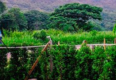 วิวและสถานที่ท่องเที่ยวใกล้เคียง 2 Baan Jome Khaoyai