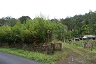 Bangunan 4 Candlenut Treehouse