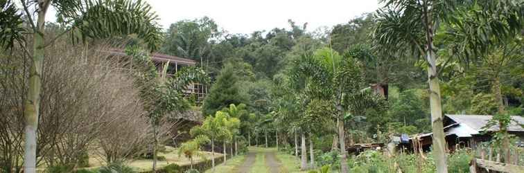 Lobby Candlenut Treehouse