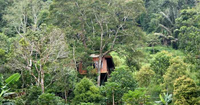 ภายนอกอาคาร Candlenut Treehouse