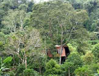 Exterior 2 Candlenut Treehouse