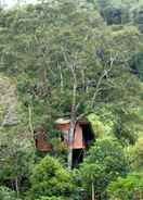 EXTERIOR_BUILDING Candlenut Treehouse