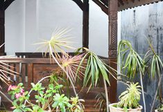 Common Space 7 Jeru Homestay