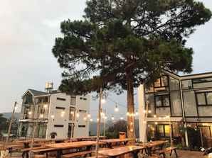 The Kupid - Dalat No Single, THB 1,003.21