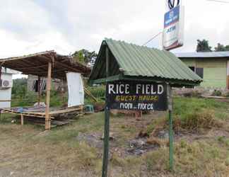 Luar Bangunan 2 Rice Field Homestay