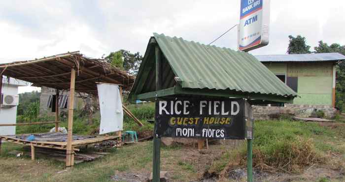 Luar Bangunan Rice Field Homestay