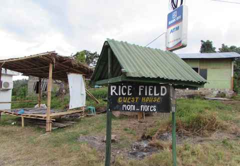 Exterior Rice Field Homestay