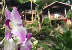 Exterior 2 Phi Phi Green Hill Resort
