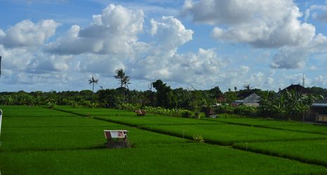 外観 2 Umah Bella Batubulan