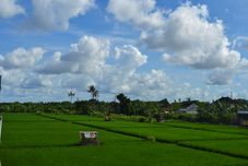 外観 Umah Bella Batubulan