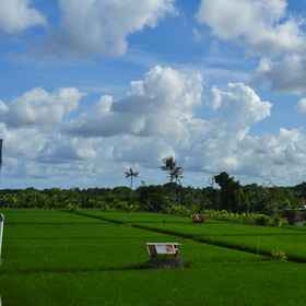 Umah Bella Batubulan 1, Hotel Pasar Umasari Kesambi