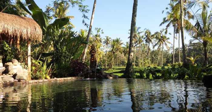 Bangunan BaliManggis Hostel View Sawah