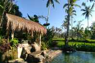 Swimming Pool BaliManggis Hostel View Sawah