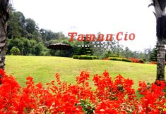 엔터테인먼트 시설 3 Hotel Grand Orri Berastagi