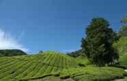 Luar Bangunan 7 Cameron Highlands Resort - Small Luxury Hotels of the World